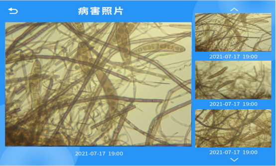 全自動孢子捕捉分析設(shè)備